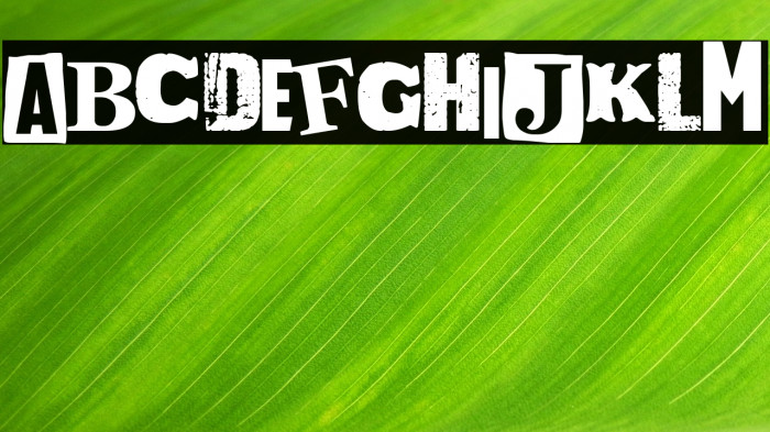 Drunk & Proud Example 1