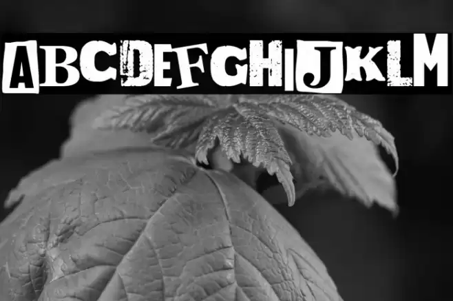 Drunk & Proud Font examples