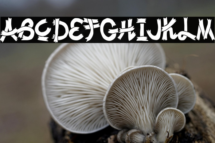 Drunk in Japan! Example 3