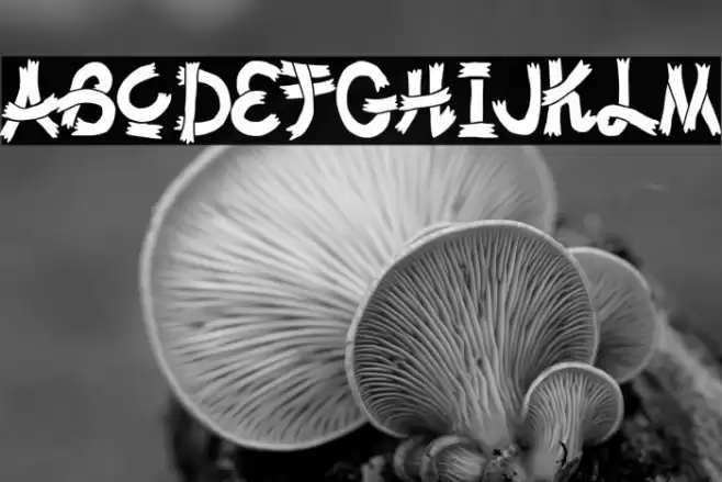 Drunk in Japan! Font examples