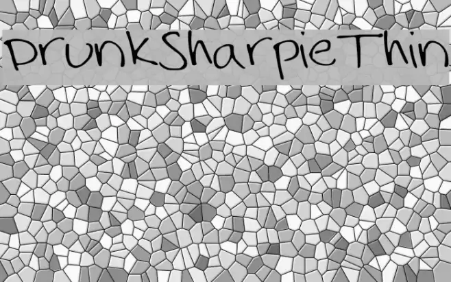 DrunkSharpieThin Font examples