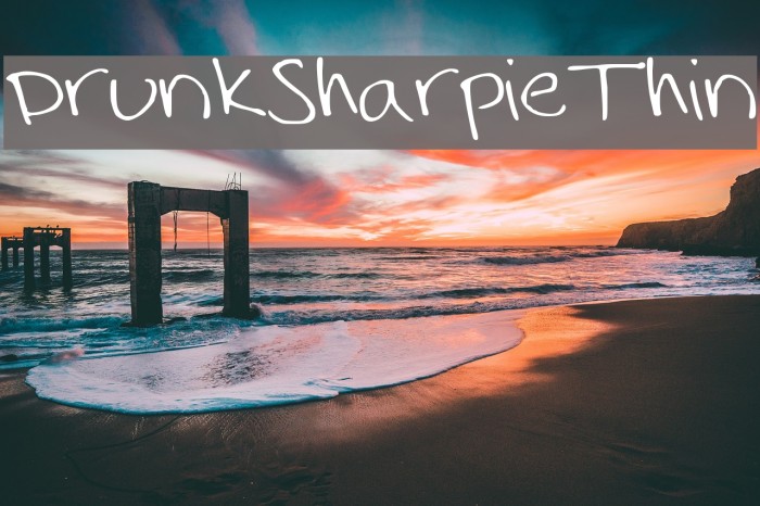 DrunkSharpieThin Example 2