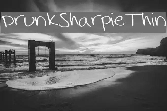 DrunkSharpieThin Font examples