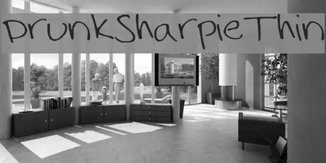 DrunkSharpieThin Font examples