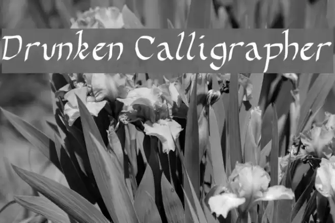 Drunken Calligrapher Font examples