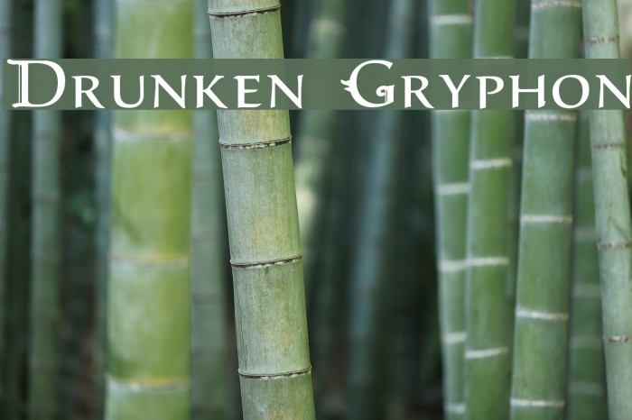 Drunken Gryphon Font examples