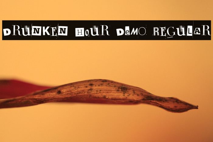 Drunken Hour DEMO Regular Example 1