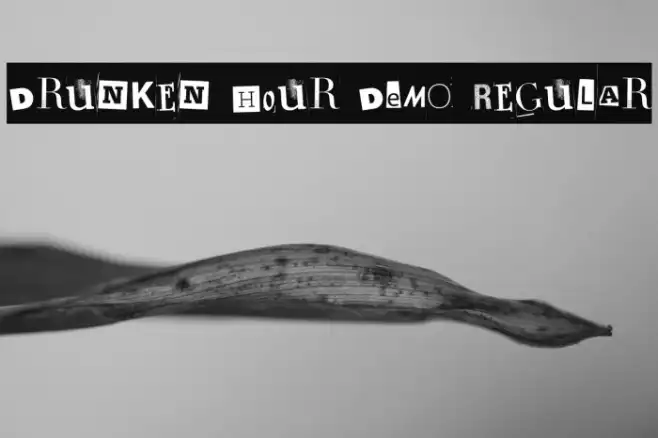 Drunken Hour DEMO Regular Example 1