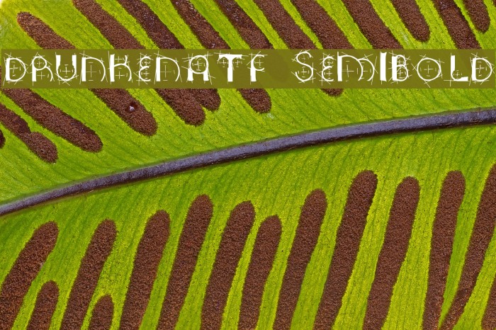 DrunkenATF SemiBold Font examples