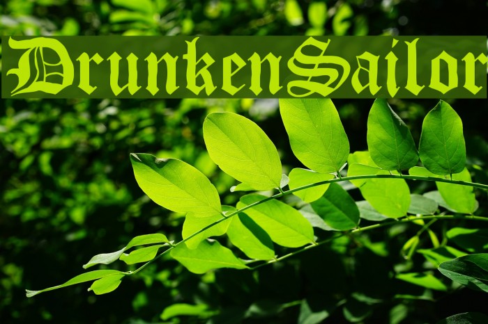 DrunkenSailor Font examples