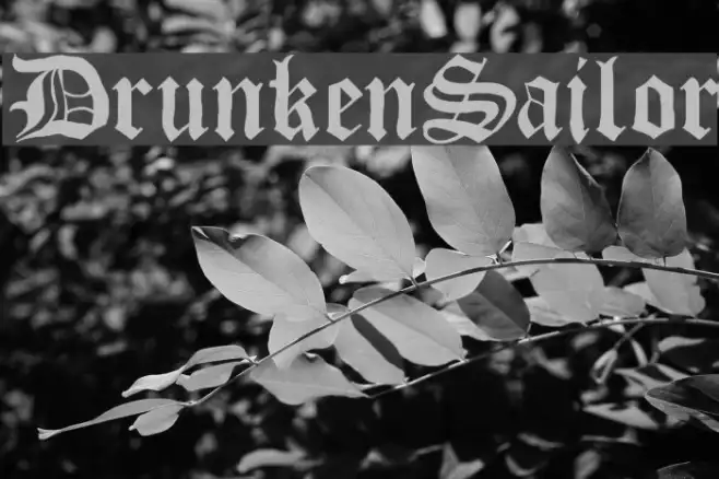 DrunkenSailor Example 1