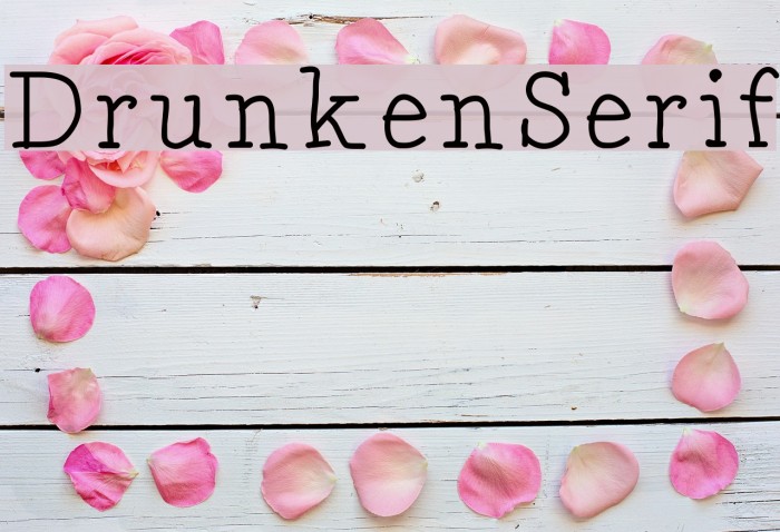 DrunkenSerif Font examples