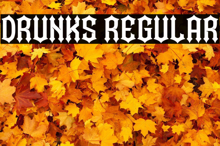 Drunks Regular Example 1