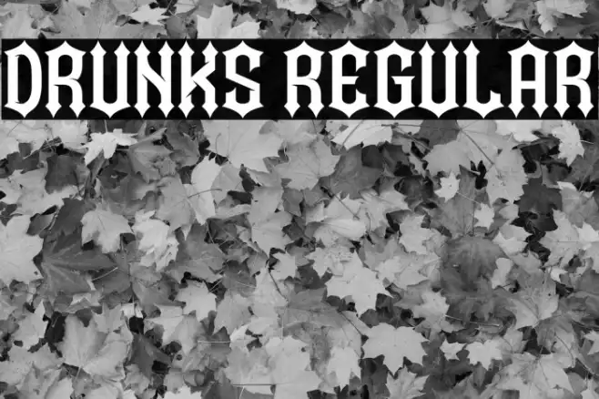 Drunks Regular Example 1