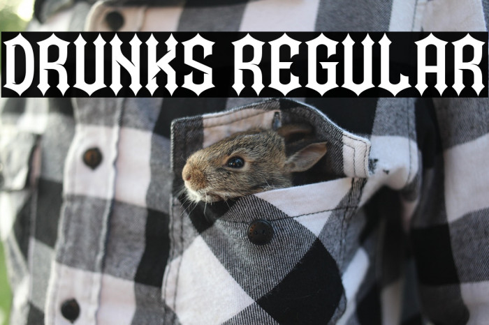 Drunks Regular Example 2