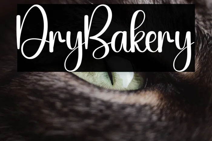 Dry Bakery Example 3