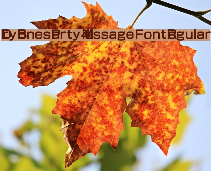 Dry Bones Party 4 Message Font Regular Font examples