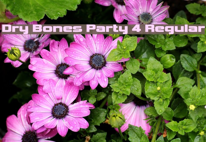 Dry Bones Party 4 Regular Font examples