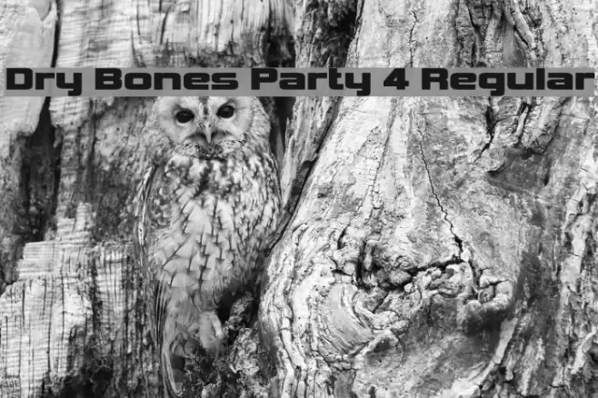 Dry Bones Party 4 Regular Font examples