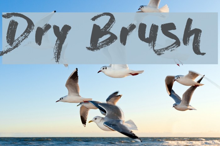 Dry Brush Font examples