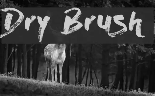 Dry Brush Font examples