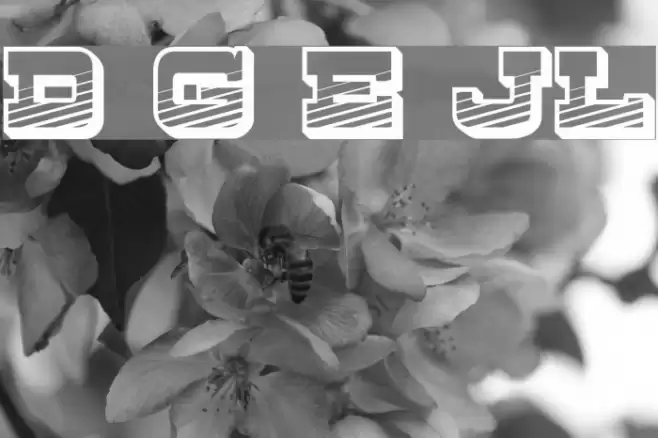 Dry Goods Emporium JL Font examples