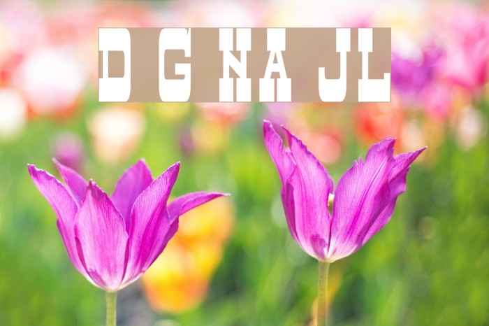 Dry Goods Narrow JL Font examples