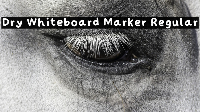 Dry Whiteboard Marker Regular Example 1