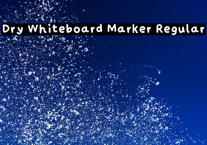 Dry Whiteboard Marker Regular Example 2