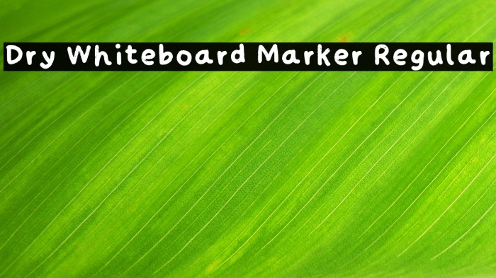Dry Whiteboard Marker Regular Example 3