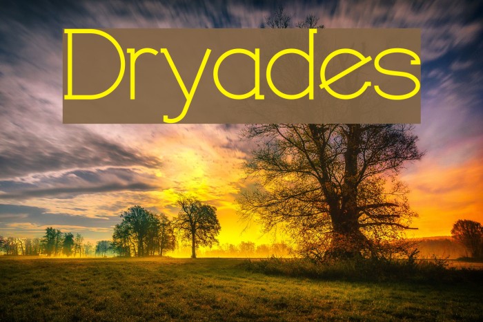 Dryades Font examples