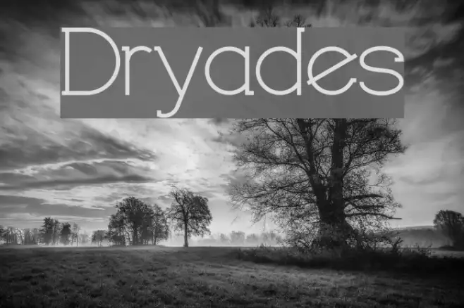 Dryades Example 1
