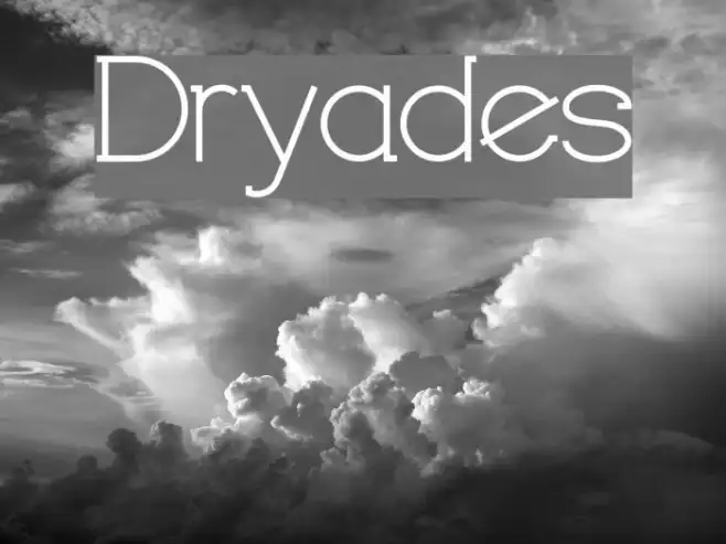 Dryades Example 2