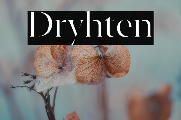 Dryhten Example 1