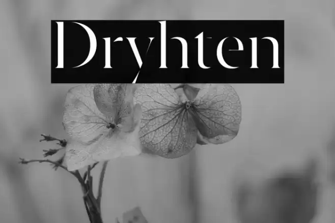 Dryhten Font examples