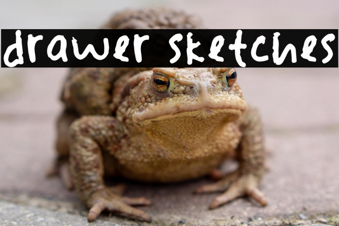 drawer sketches Example 3