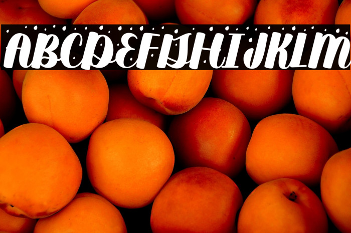 dream*showers Regular Example 3