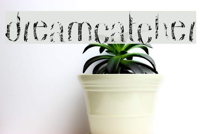 dreamcatcher Example 2