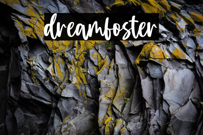 dreamfoster Example 1