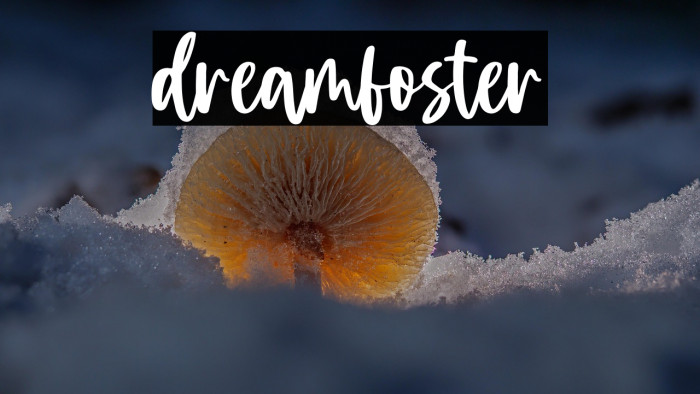 dreamfoster Example 2