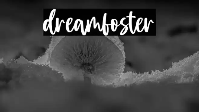 dreamfoster Example 2