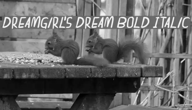 dreamgirl's dream Bold Italic Font examples