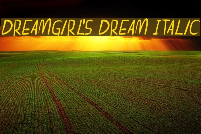 dreamgirl's dream Italic Font examples