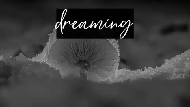 dreaming Font examples