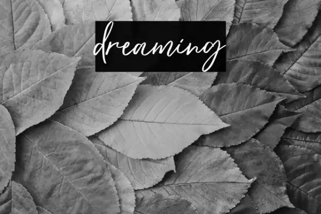dreaming Font examples