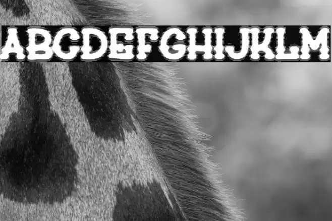 drunk company Font examples