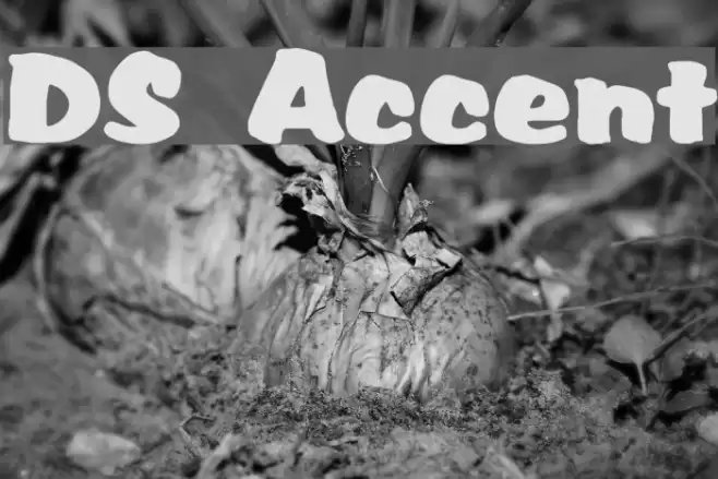 DS Accent Font examples