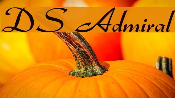 DS Admiral Font examples