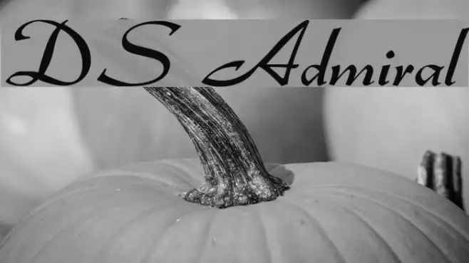 DS Admiral Example 1