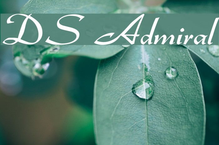 DS Admiral Font examples